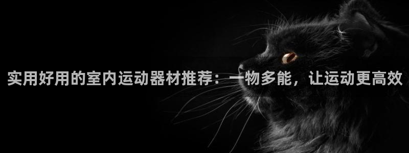 海南好博体育官网下载发展怎么样：实用好用的室内运动器材推荐：