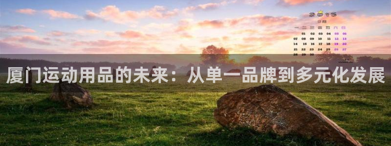 好博体育官网下载：厦门运动用品的未来：从单一品牌到多