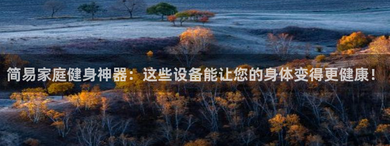 好博官方集团官网：简易家庭健身神器：这些设备能让您的身体变得