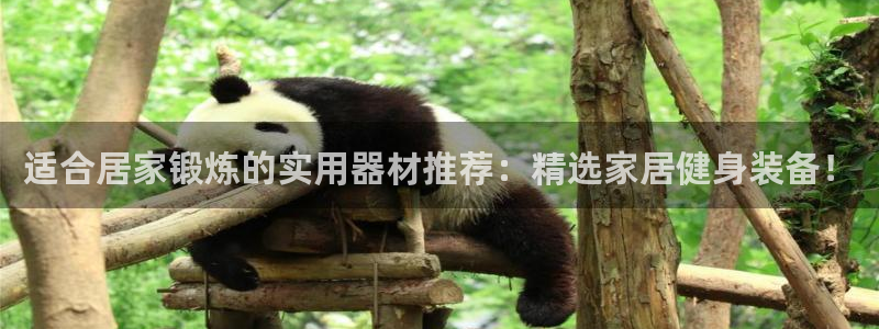 好博体育官方正版app新能源：适合居家锻炼的实用器材推荐：精