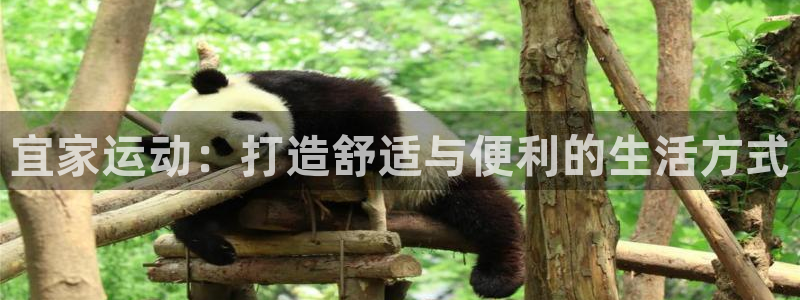 注册好博体育官方正版app：宜家运动：打造舒适与便利的生活方