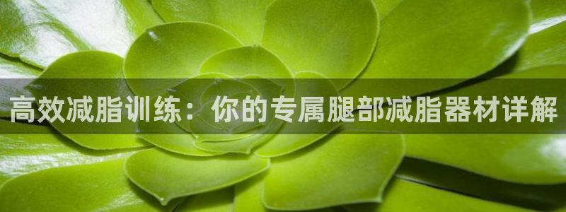 好博体育官网下载：高效减脂训练：你的专属腿部减脂器材详解