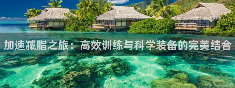好博体育官方正版app娱乐首页网站大全：加速减脂之旅：高效训