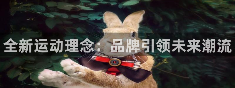 好博体育官网下载是干嘛的公司：全新运动理念：品牌引领未来潮流