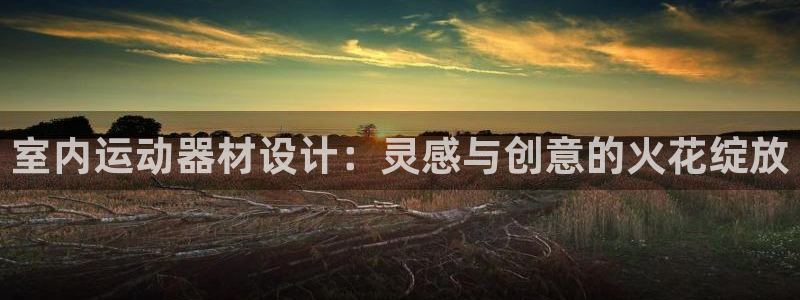 好博体育官网下载平台APP：室内运动器材设计：灵感与