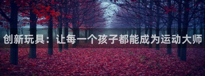 好博体育官网下载招商电话号码是多少啊：创新玩具：让每