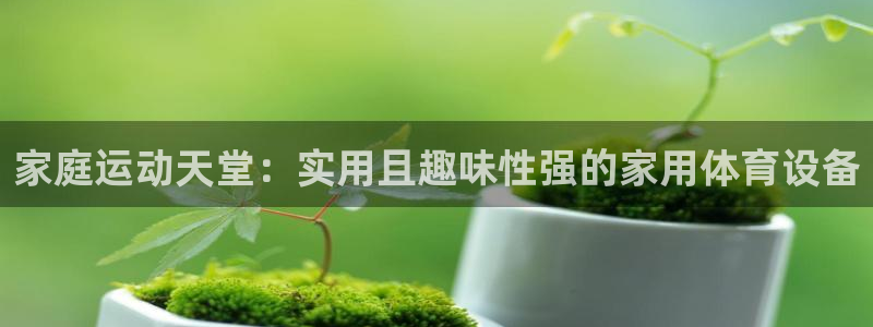 好博体育官方正版app官方：家庭运动天堂：实用且趣味