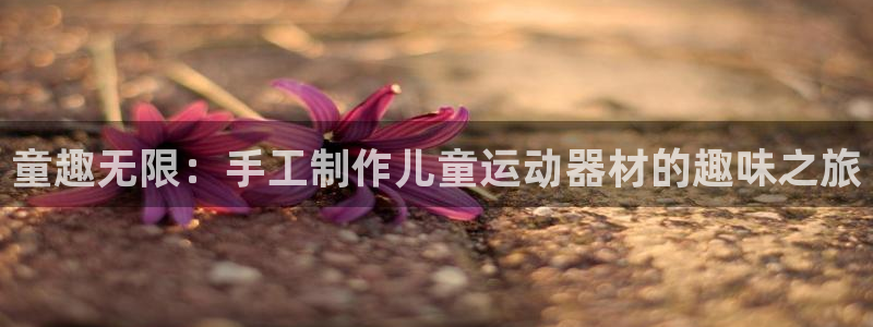 好博体育官网下载软件：童趣无限：手工制作儿童运动器材的趣味之