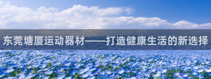 好博体育官网下载软件：东莞塘厦运动器材——打造健康生活的新选