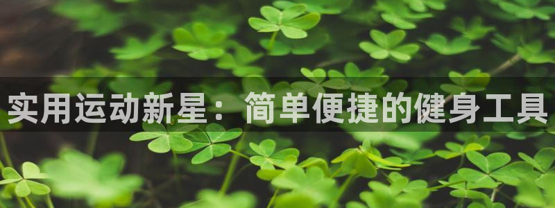 海南好博体育官网下载：实用运动新星：简单便捷的健身工具