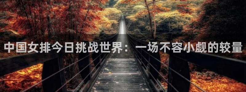 足球直播_篮球直播_免费在线看 | 88看球：中国女排今日挑战世界：一场不容小觑的较量