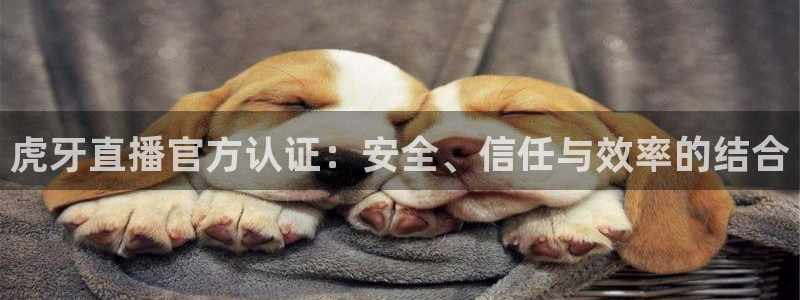 88看球直播入口：虎牙直播官方认证：安全、信任与效率的结合