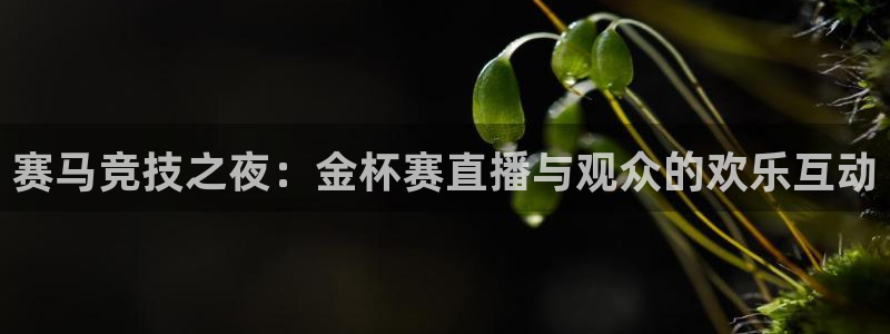88看球免费直播高清观看