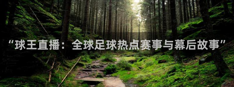 888看球nba直播免费