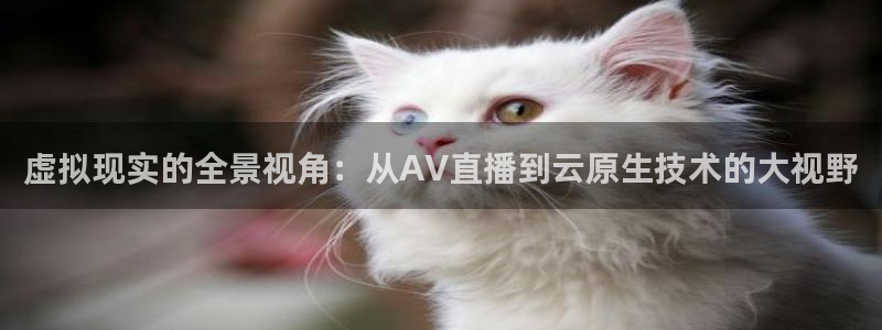 88看球免费nba直播：虚拟现实的全景视角：从AV直播到云原生技术的大视野