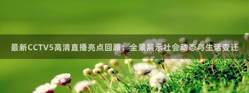88看球免费nba直播：最新CCTV5高清直播亮点回顾：全景展示社会动态与生活变迁