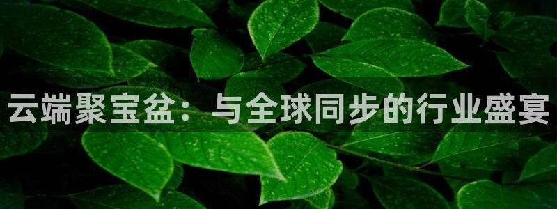 88看球在线直播观看