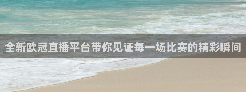 88看球nba直播免费：全新欧冠直播平台带你见证每一场比赛的精彩瞬间