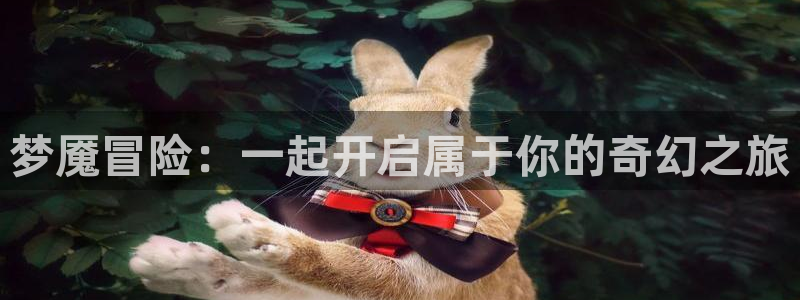 88看球免费直播高清观看