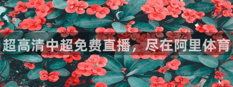 88看球吧直播