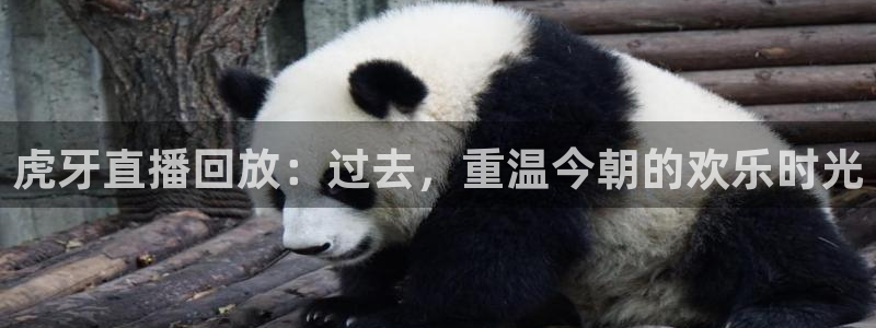 88看球nba直播视频在线直播官网