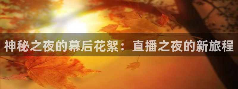 nba直播免费88看球：神秘之夜的幕后花絮：直播之夜的新旅程